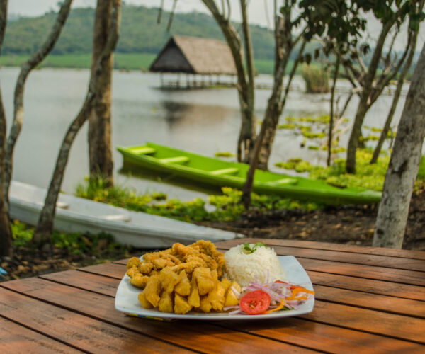 Chicharron de pollo ok