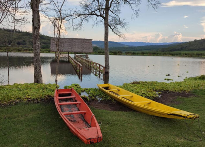 PASEO-EN-BOTES-PEDALONES2