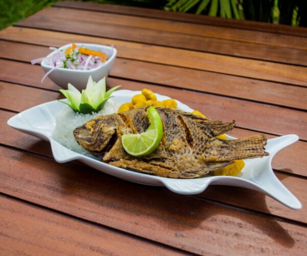 Tilapia frita