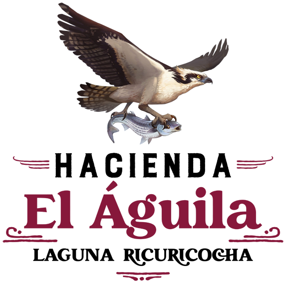 HACIENDA EL AGUILA • Confortable, Rodeado de Flora y Fauna